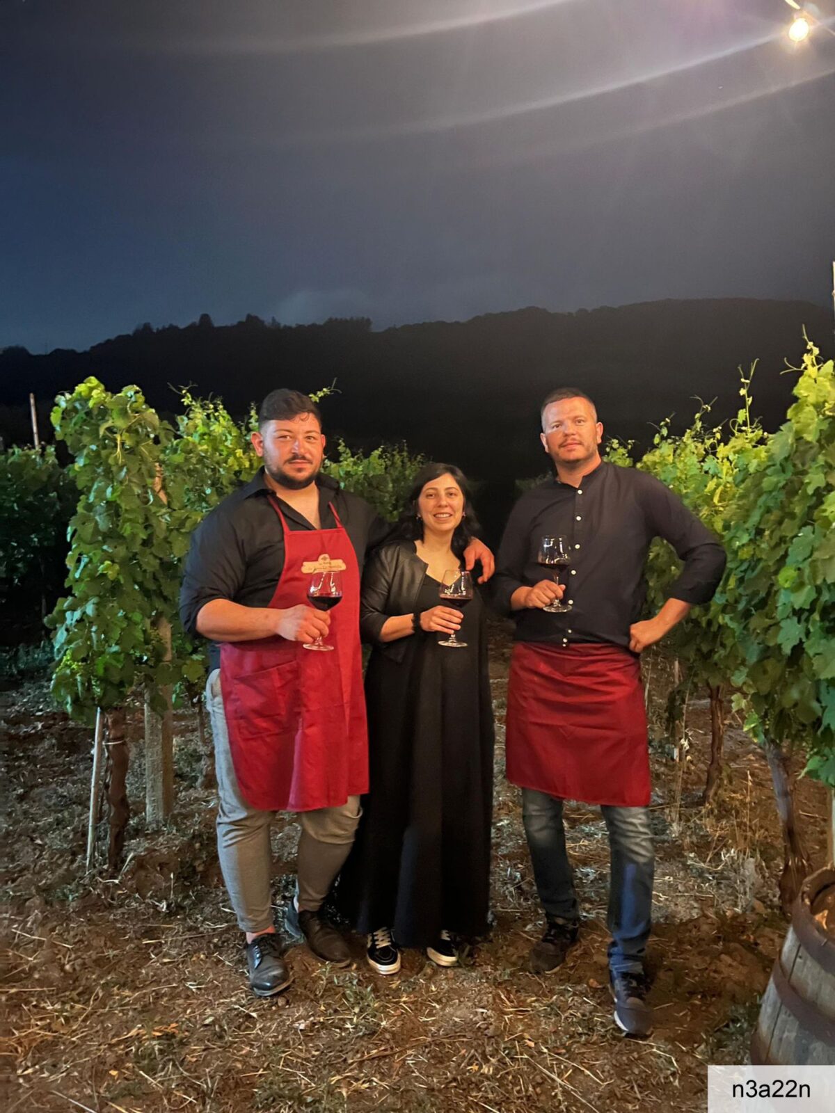 n3a22n